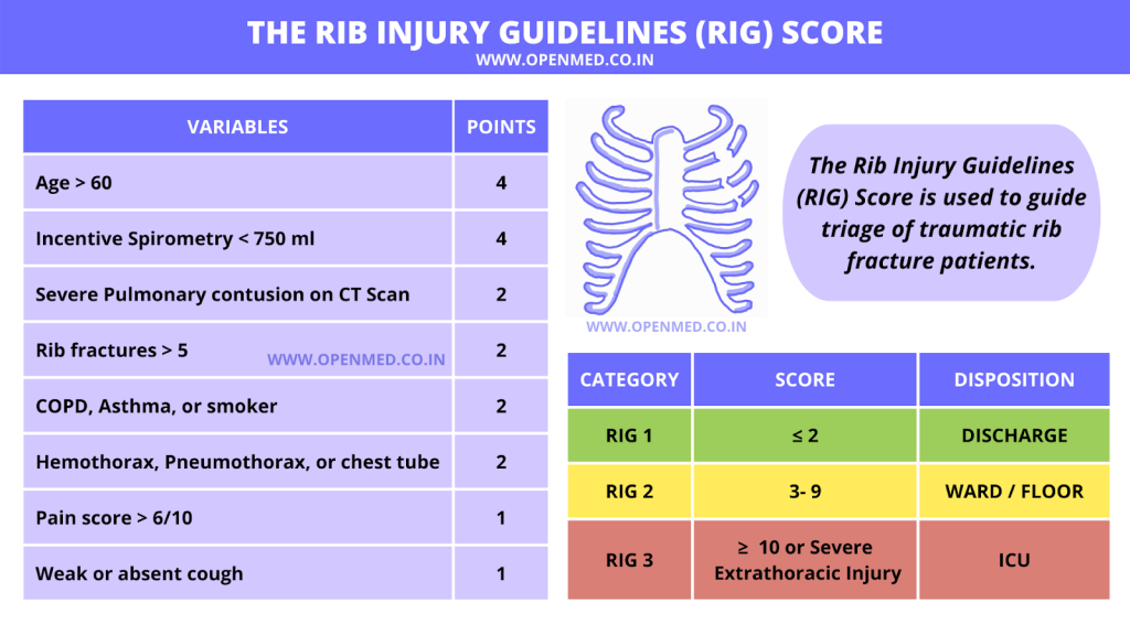 Picture of: The Rib Injury Guidelines (RIG) Score